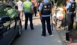 砀山最新事件爆料,揭秘背后真相，引发社会关注